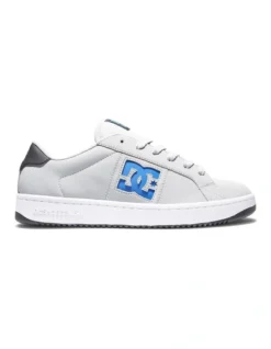 DC Striker Grey Shoes