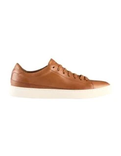 Perry Leather Sneakers In Tan